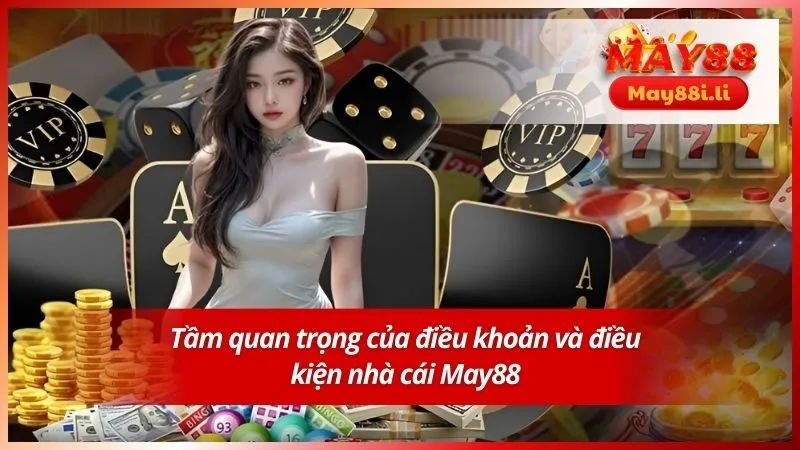Tầm quan trọng của điều khoản và điều kiện nhà cái May88