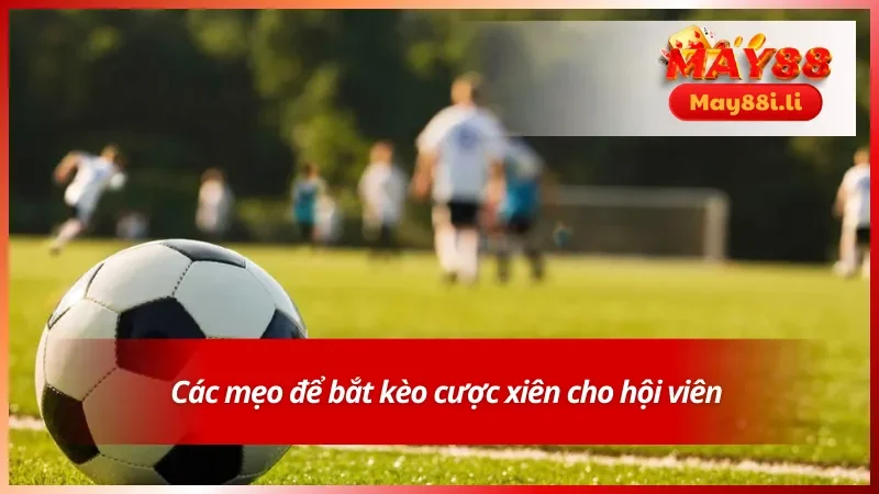 Mẹo cược xiên hiệu quả giúp tăng cơ hội thắng cho hội viên