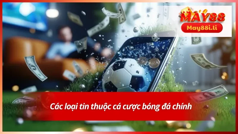 Phân loại tin bóng đá theo từng mục phổ biến
