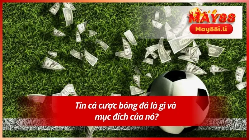 Nắm rõ tin cá cược bóng đá mang đến những ý nghĩa gì?